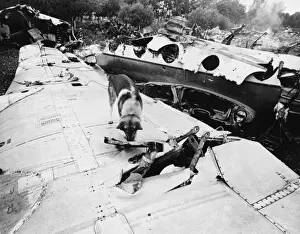 Vast Prints: Police Sniffer Dog