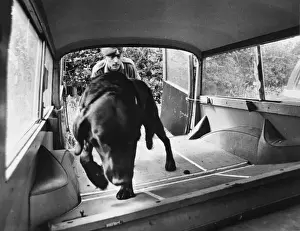 Police Sniffer Dog