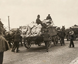 Accompany Gallery: Policemen and cart, Canning Town, East London