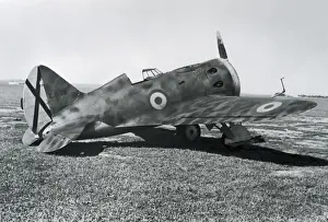 Polikarpov I-16 Rata