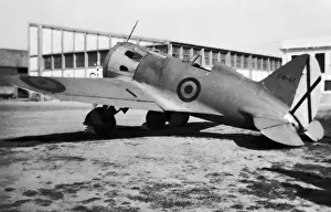 Polikarpov I-16 Rata