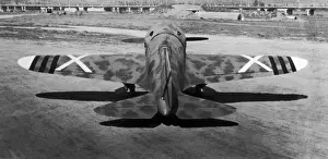 Polikarpov I-16 Rata