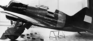 Polikarpov I-16 Rata