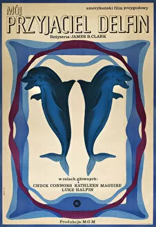 Movie Collection: Polish poster for MGM film, Flipper