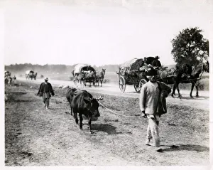 Gelatin Prints: Polish refugees leaving Warsaw Poland during Wolrd War I