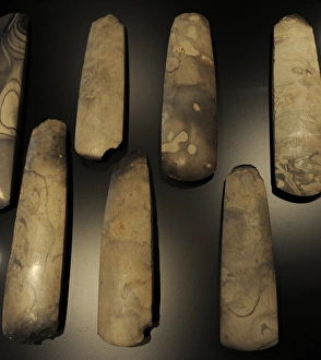 Neolithic Gallery: Polished flint axes. 3700-3500 BC. From Hagelbjerggard, cent