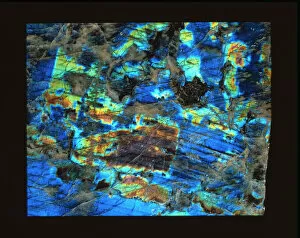Mineral Gallery: Polished slab of labradorite