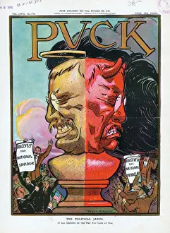 Janus Prints: The political Janus
