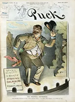 The political vaudeville