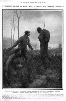 Images Dated 6th December 2016: A pollarded German Guard : trees as a soldier, 1916