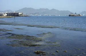 Pollution Prints: Pollution - abandoned docks and rusting barges