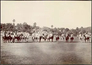 Players Prints: Polo Game in India