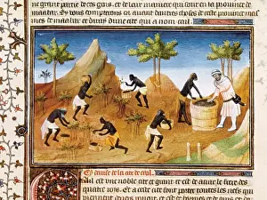 Polo, Marco (1254-1324)