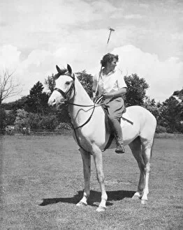 Mallet Gallery: Polo player