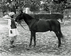Polo pony and groom, India