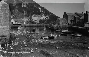 Polperro Prints: Polperro Harbour