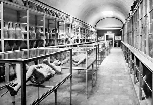 Casts Prints: Pompeii body casts in Museum, Victorian period