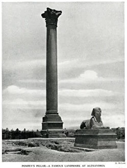 Diocletian Collection: Pompeys Pillar and Sphinx, Alexandria, Egypt