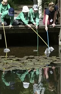 Derek Collection: Pond-dipping activities