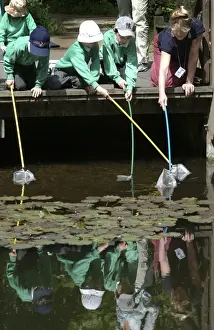Vickery Prints: Pond-dipping activities