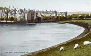 Pond Collection: The Pond - Inverleith, Edinburgh