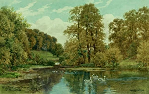 Loose Collection: Mill Pond, Loose Valley, near Maidstone, Kent