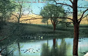 The Pond, Rouken Glen, Lanarkshire