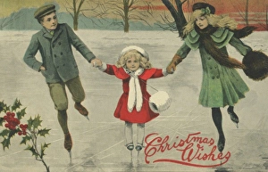 Images Dated 2012 November: 23 Nov 2012 Collection
