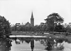 Pond Collection: The Pond, Woodvale Park, Belfast