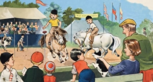 Images Dated 17th July 2006: Ponies