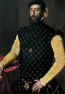 Vega Collection: Pontormo, Jacopo da (1494-1556). Portrait of