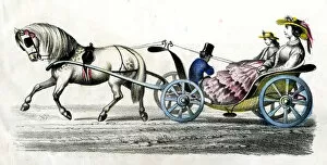 Images Dated 27th February 2020: Pony Basket Chaise Carriage, 19th century