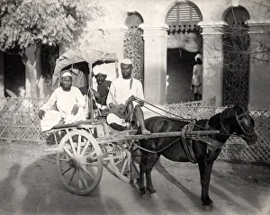 A pony carriage, hackney, India