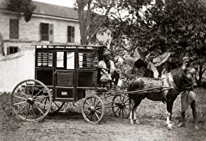 Pony Prints: Pony carriage, India, circa 1880s. Date: circa 1880s