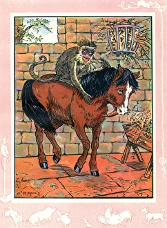 Manger Gallery: A pony with a monkey on its back