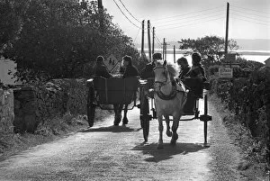 Aran Gallery: Pony and trap on the island of Innishmore, Aran Islands