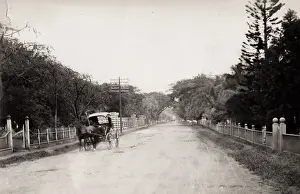 Pony and trap, Nuuan Avenue, Honolulu, Hawaii, Hawai i