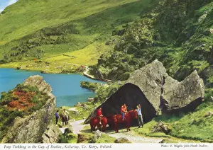 Pony Prints: Pony Trekking in the Gap of Dunloe, Killarney, Co. Kerry