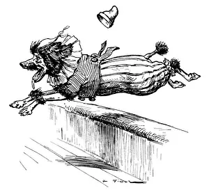 Poodles Prints: Poodle Jumping