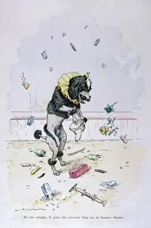 Poodle and Presents