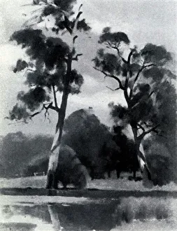 Stood Prints: The Pool