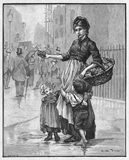 Poor Flower Girl C19