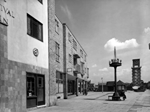 Images Dated 11th August 2011: POPLAR