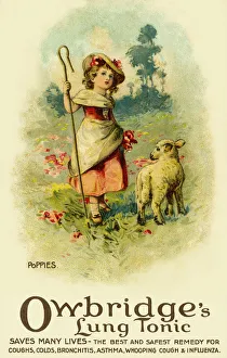 Advertising Gallery: Poppies