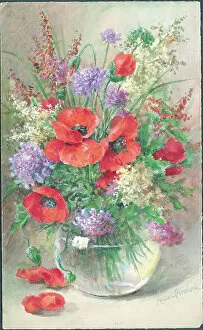 Arrangement Collection: Poppies Scabious and Meadowsweet Flowers in vase