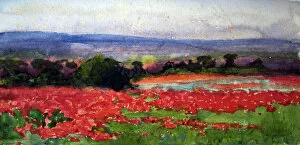Images Dated 27th August 2009: A poppy field, France, c 1918