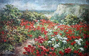 Shelton Prints: Poppyfield by the cliffs