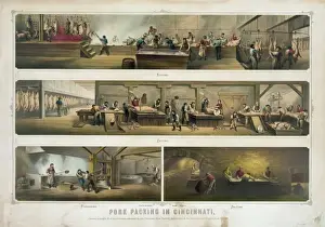 Cincinnati Prints: Pork packing in Cincinnati