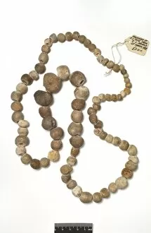 Alloy Collection: Porosphaera (sponge) necklace