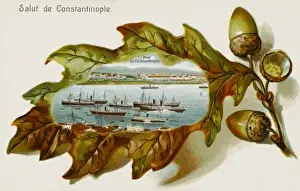 Acorns Prints: The port of Constantinople